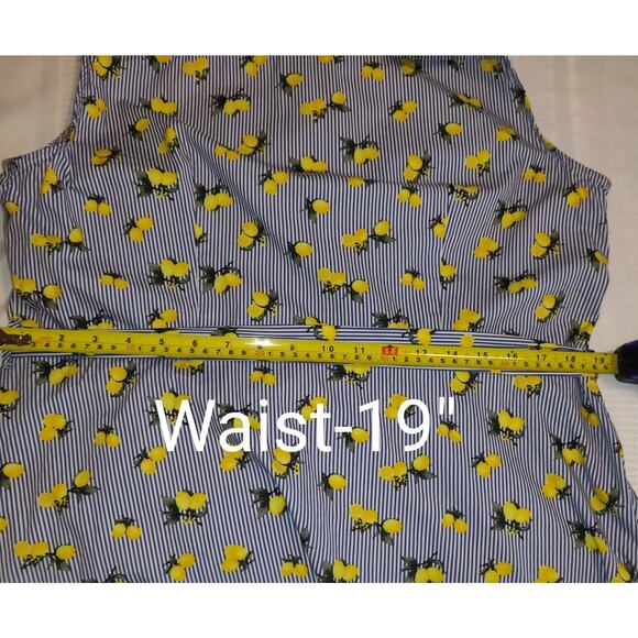 Chloe & Rene Blue Pinstripe Sleeveless Shirt Dress XL Lemon Print Cotton Belted - Picture 15 of 16